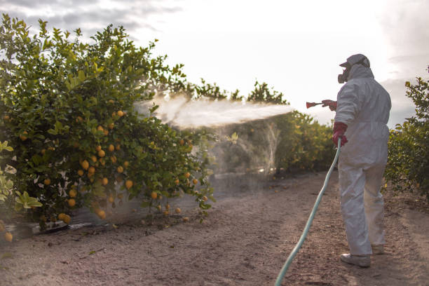 Best Ant Control Services  in Oelwein, IA