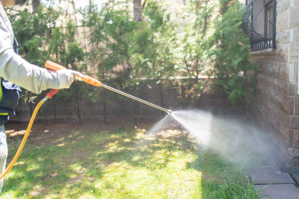 Best Pest Control for Businesses  in Oelwein, IA