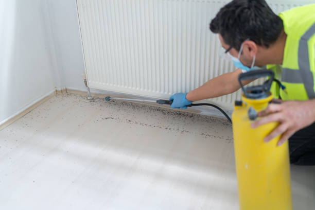 Professional Pest Control in Oelwein, IA